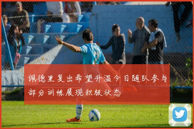 佩德里复出希望升温今日随队参与部分训练展现积极状态