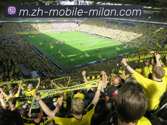 多媒体互动体验